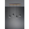 Trio-Leuchten HENLEY Pendant Light black, 4-light sources