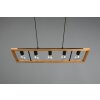 Trio-Leuchten AGRA Pendant Light black, 5-light sources