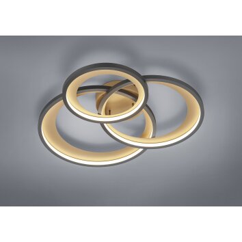 Trio-Leuchten GRANADA Ceiling Light LED black, 1-light source