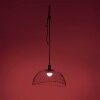 Leuchten-Direkt DAVID Pendant Light LED black, 1-light source, Remote control, Colour changer