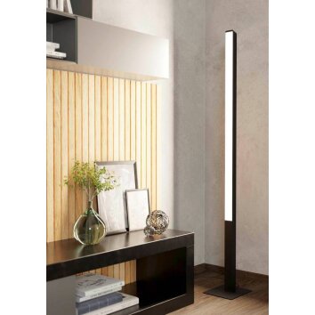 Eglo-Leuchten SIMOLARIS-Z Floor Lamp LED black, 1-light source