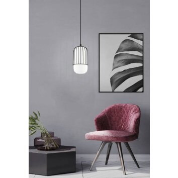 Eglo-Leuchten MULEGES Pendant Light black, 1-light source