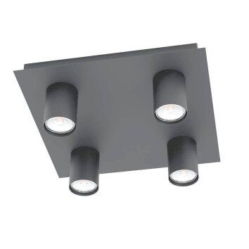 Eglo-Leuchten VALCASOTTO Ceiling Light LED black, 4-light sources