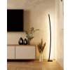 Eglo-Leuchten PICACHA Floor Lamp LED black, 1-light source