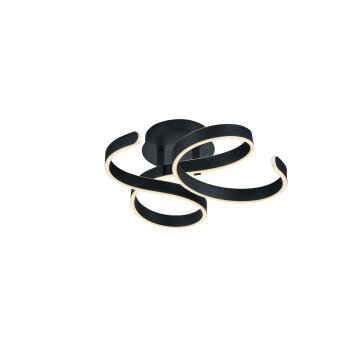 Trio FRANCIS Ceiling Light LED anthracite, 1-light source