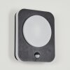 HAGA Outdoor Wall Light LED black, 1-light source, Motion sensor