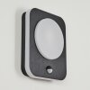 HAGA Outdoor Wall Light LED black, 1-light source, Motion sensor