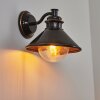 BOCHOLT Outdoor Wall Light brown, copper, black, 1-light source