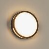 CHIAVARI Outdoor Wall Light LED anthracite, 1-light source