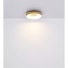 Globo JOLLI Ceiling Light LED Wood like finish, 1-light source, Remote control