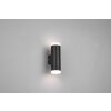 Trio-Leuchten RAY Wall Light LED black, 2-light sources
