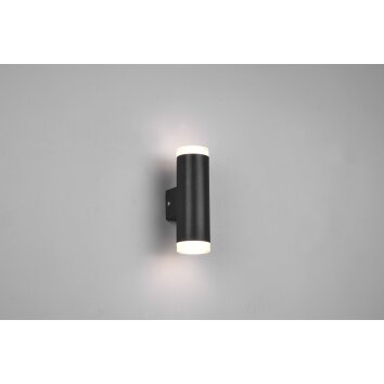 Trio-Leuchten RAY Wall Light LED black, 2-light sources