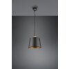 Trio-Leuchten HARRIS Pendant Light black, 1-light source