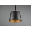 Trio-Leuchten HARRIS Pendant Light black, 1-light source