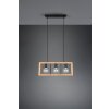 Trio-Leuchten AGRA Pendant Light black, 3-light sources