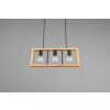 Trio-Leuchten AGRA Pendant Light black, 3-light sources