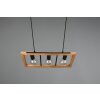 Trio-Leuchten AGRA Pendant Light black, 3-light sources