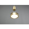 Trio-Leuchten FRANKLIN Pendant Light LED brass, 1-light source