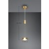 Trio-Leuchten FRANKLIN Pendant Light LED brass, 1-light source