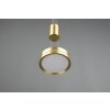 Trio-Leuchten FRANKLIN Pendant Light LED brass, 1-light source