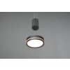 Trio-Leuchten FRANKLIN Pendant Light LED anthracite, 1-light source