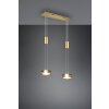 Trio-Leuchten FRANKLIN Pendant Light LED brass, 2-light sources