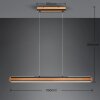 Trio-Leuchten DEACON Pendant Light LED, 1-light source
