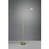 Trio-Leuchten MONZA Floor Lamp LED brass, 1-light source