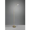 Trio-Leuchten MONZA Floor Lamp LED brass, 1-light source