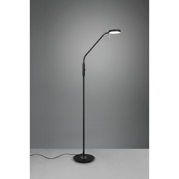 Trio-Leuchten MONZA Floor Lamp LED black, 1-light source
