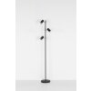 Globo ROBBY Floor Lamp black, 3-light sources