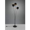 Reality TOMMY Floor Lamp black, 3-light sources