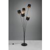 Reality TOMMY Floor Lamp black, 5-light sources