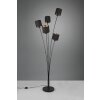 Reality TOMMY Floor Lamp black, 5-light sources