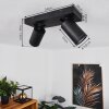 HAKAMKEN Ceiling Light LED black, 2-light sources
