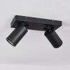 HAKAMKEN Ceiling Light LED black, 2-light sources
