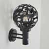 SAASEG Outdoor Wall Light anthracite, 1-light source, Motion sensor