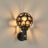 SAASEG Outdoor Wall Light anthracite, 1-light source, Motion sensor