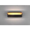 Trio-Leuchten ARINO Wall Light LED black, 1-light source