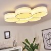 PURUS Ceiling Light LED white, 1-light source