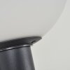 BUBODEFO Outdoor Wall Light anthracite, 1-light source