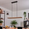 LUTURULA Pendant Light LED black, 1-light source