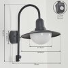 POHEI Outdoor Wall Light anthracite, 1-light source, Motion sensor