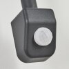 POHEI Outdoor Wall Light anthracite, 1-light source, Motion sensor