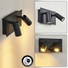 SAETER Outdoor Wall Light LED black, 2-light sources, Motion sensor