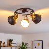 Ceiling Light Blackburn black-gold, 3-light sources