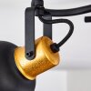 Ceiling Light Blackburn black-gold, 3-light sources