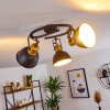 Ceiling Light Blackburn black-gold, 3-light sources