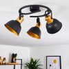 Ceiling Light Blackburn black-gold, 3-light sources