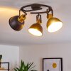 Ceiling Light Blackburn black-gold, 3-light sources